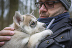 Mann mit Siberian Husky Welpe