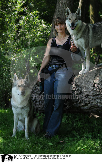 Frau und Tschechoslowakische Wolfhunde / woman and Czechoslovakian wolfdogs / AP-05586