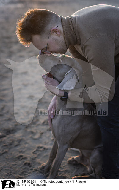 Mann und Weimaraner / man and Weimaraner / NP-02398