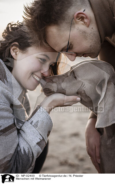 Menschen mit Weimaraner / human with Weimaraner / NP-02400