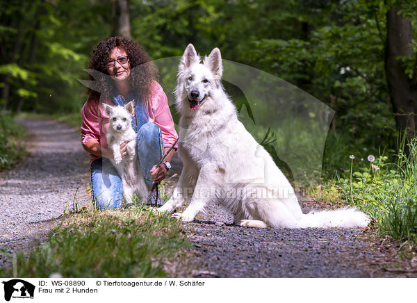 Frau mit 2 Hunden / woman with 2 Dogs / WS-08890