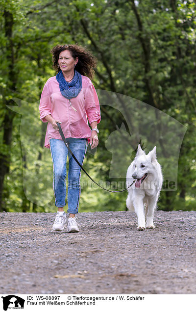 Frau mit Weiem Schferhund / woman with Berger Blanc Suisse / WS-08897