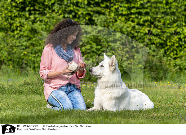 Frau mit Weiem Schferhund / woman with Berger Blanc Suisse / WS-08992