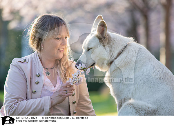 Frau mit Weiem Schferhund / woman with white shepherd / EHO-01825