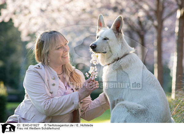 Frau mit Weiem Schferhund / woman with white shepherd / EHO-01827
