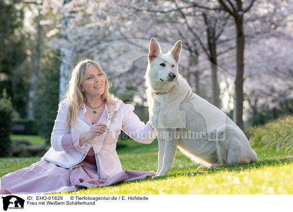 Frau mit Weiem Schferhund / woman with white shepherd / EHO-01829