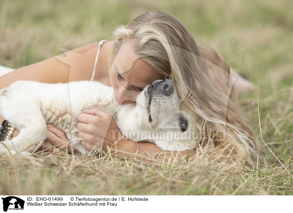 Weier Schweizer Schferhund mit Frau / Berger Blanc Suisse with woman / EHO-01499