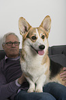 Mann und Welsh Corgi Pembroke