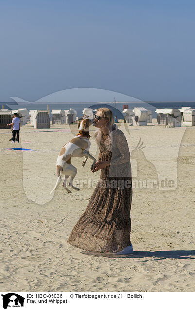 Frau und Whippet / woman and Whippet / HBO-05036