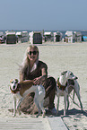 Frau und Whippet