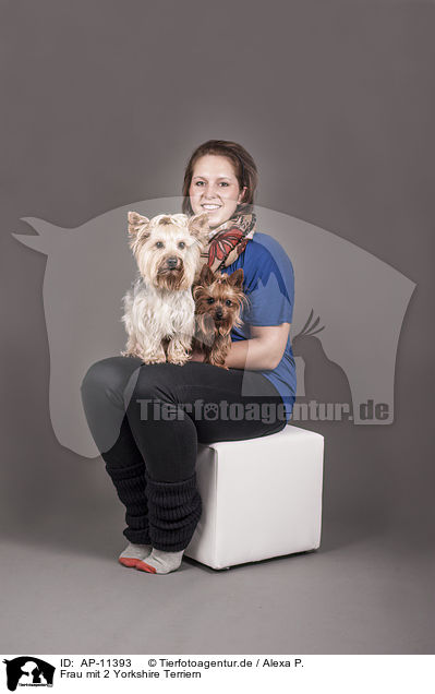 Frau mit 2 Yorkshire Terriern / woman with 2 Yorkshire Terrier / AP-11393