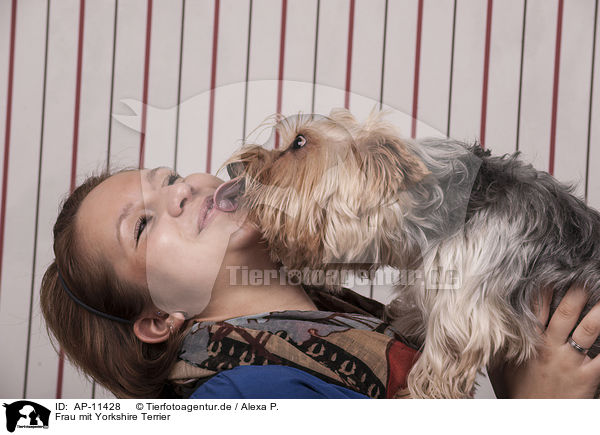 Frau mit Yorkshire Terrier / woman with Yorkshire Terrier / AP-11428