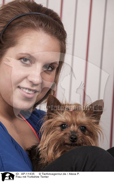 Frau mit Yorkshire Terrier / woman with Yorkshire Terrier / AP-11435
