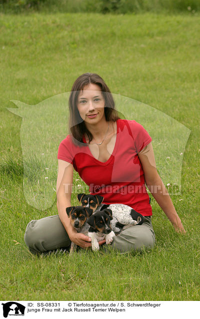 junge Frau mit Jack Russell Terrier Welpen / woman with Jack Russell Terrier puppies / SS-08331