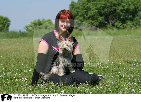 Frau mit Yorkshire-Terrier-Mischling / SS-14827
