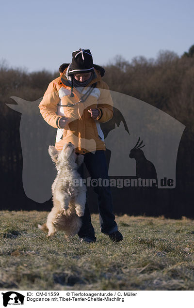 Dogdance mit Tibet-Terrier-Sheltie-Mischling / dogdance with mongrel / CM-01559