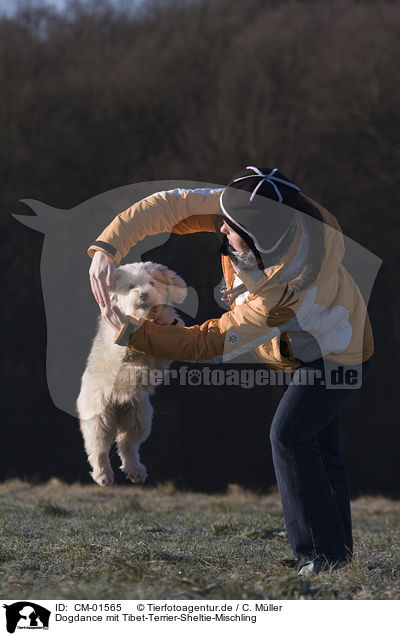 Dogdance mit Tibet-Terrier-Sheltie-Mischling / dogdance with mongrel / CM-01565