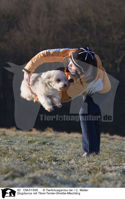 Dogdance mit Tibet-Terrier-Sheltie-Mischling / dogdance with mongrel / CM-01566