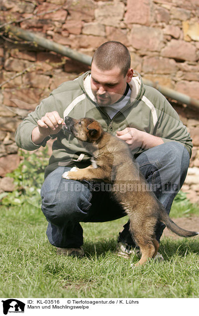 Mann und Mischlingswelpe / man and mongrel puppy / KL-03516