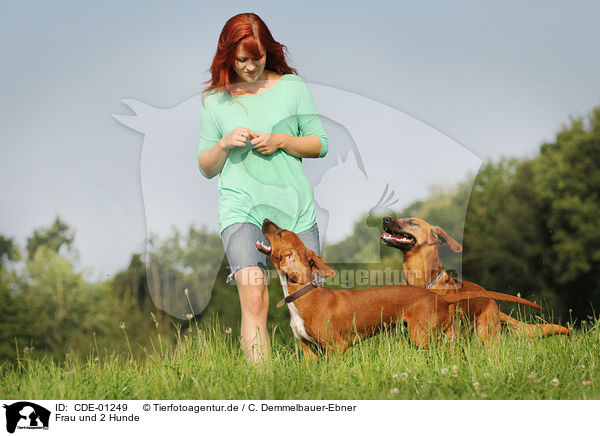 Frau und 2 Hunde / woman and 2 dogs / CDE-01249