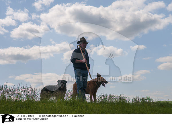 Schfer mit Htehunden / Shepherd with Herding Dogs / FH-01001