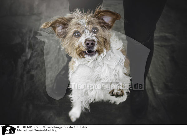 Mensch mit Terrier-Mischling / human with Terrier-Mongrel / KFI-01569