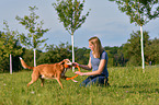 Frau mit Podenco-Mischling