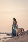Labrador-Retriever-Mischling im Sonnenuntergang