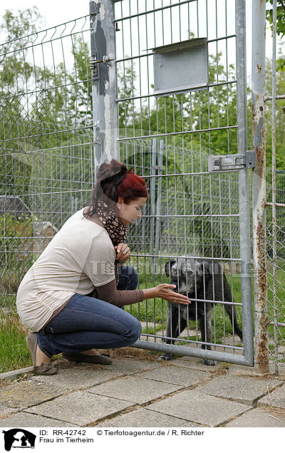 Frau im Tierheim / RR-42742