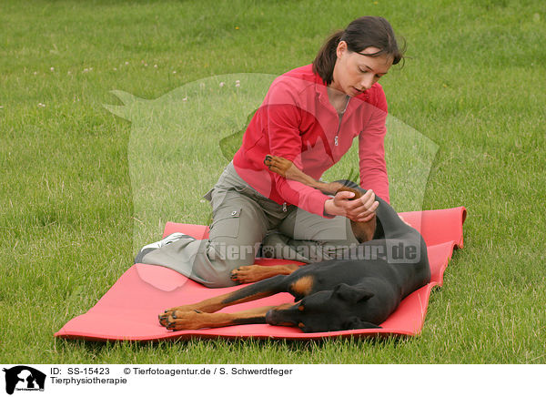 Tierphysiotherapie / physiotherapy for animals / SS-15423