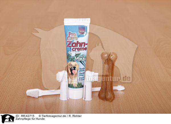 Zahnpflege fr Hunde / dental care for dogs / RR-42715