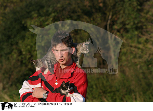 Mann mit 3 Katzen / man with 3 cats / IP-01196