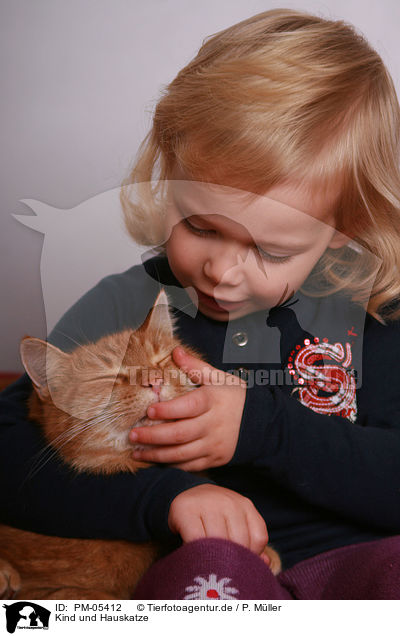 Kind und Hauskatze / kid and domestic cat / PM-05412