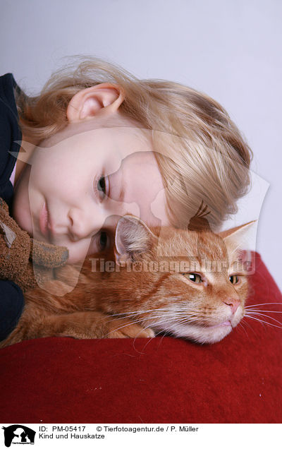 Kind und Hauskatze / kid and domestic cat / PM-05417