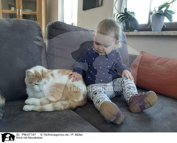 Kind mit Hauskatze / Child with Domestic Cat / PM-07187