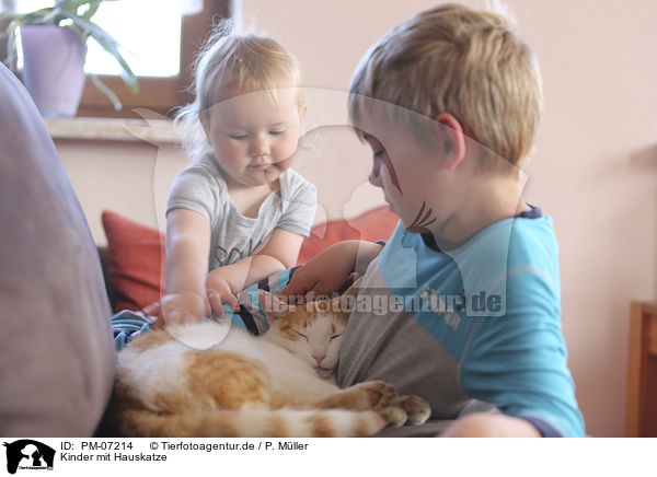 Kinder mit Hauskatze / PM-07214