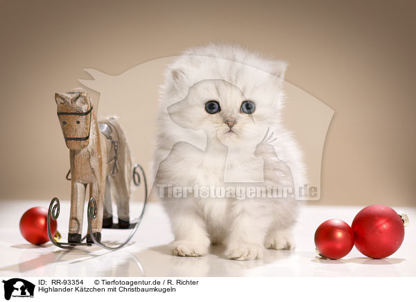 Highlander Ktzchen mit Christbaumkugeln / Highlander Kitten with Christmas tree balls / RR-93354