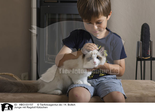 Junge mit Ragdoll Ktzchen / boy with Ragdoll kitten / HBO-03157