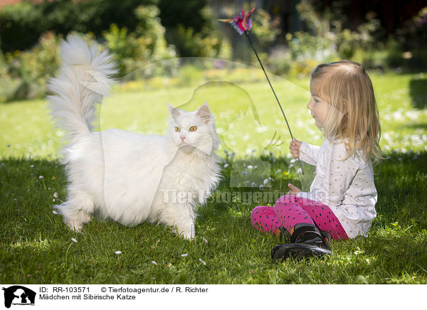 Mdchen mit Sibirische Katze / RR-103571