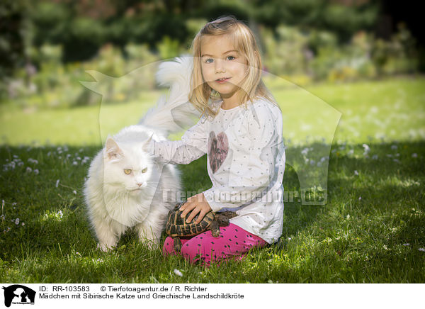 Mdchen mit Sibirische Katze und Griechische Landschildkrte / RR-103583
