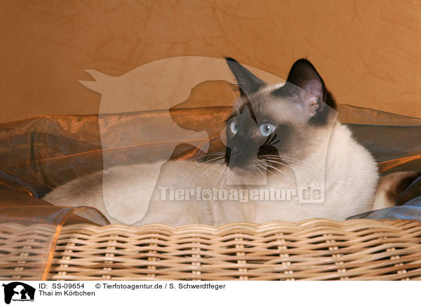 Thai im Krbchen / Thai in basket / SS-09654