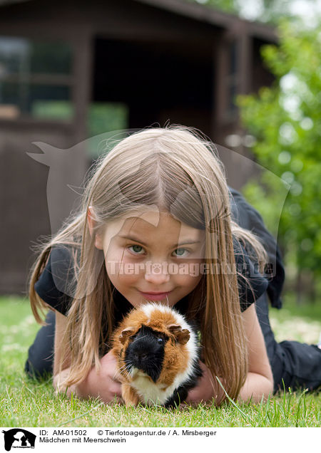 Mdchen mit Meerschwein / girl with guinea pig / AM-01502