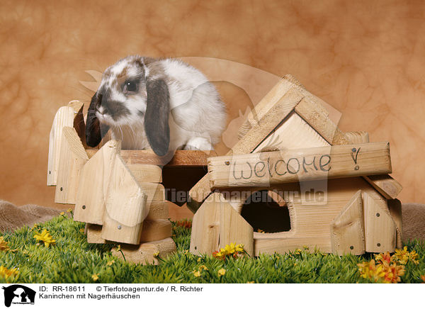 Kaninchen mit Nagerhuschen / bunny with rodent house / RR-18611