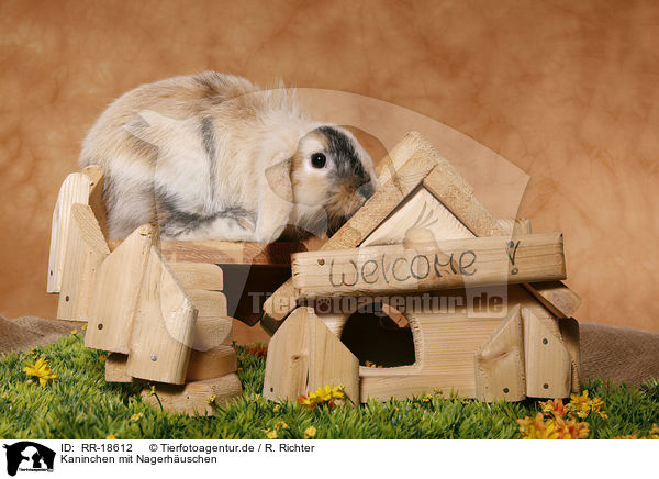Kaninchen mit Nagerhuschen / bunny with rodent house / RR-18612