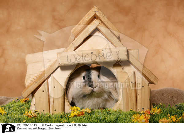 Kaninchen mit Nagerhuschen / bunny with rodent house / RR-18615