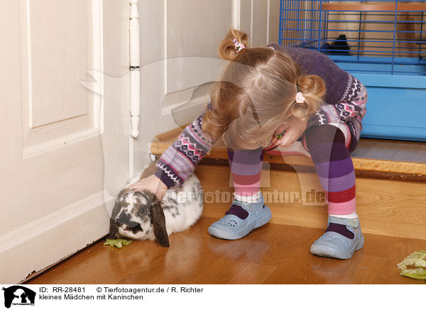 kleines Mdchen mit Kaninchen / girl with bunny / RR-28481