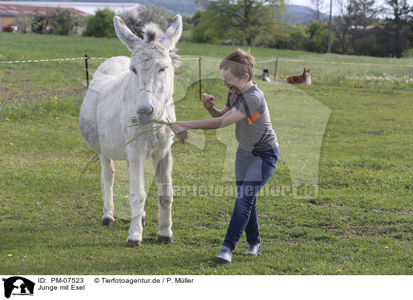 Junge mit Esel / boy with Donkey / PM-07523