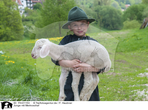 Junge mit Merinoschaf / boy with Merino Sheep / FH-01153