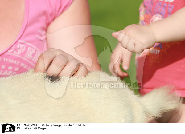 Kind streichelt Ziege / child an goat / PM-05294