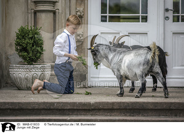 Junge mit Ziege / boy with Goat / MAB-01833